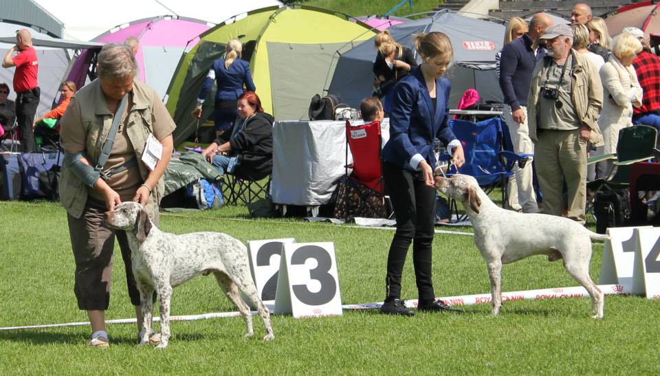 Cliquer pour agrandir/réduire