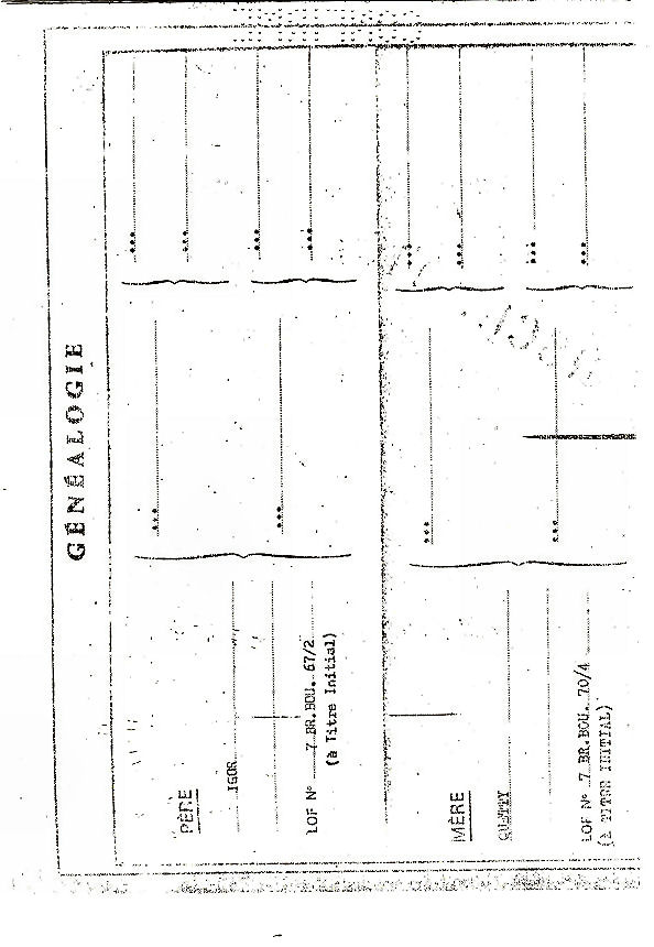 Pedigree de Lara du Rocher des Jastres