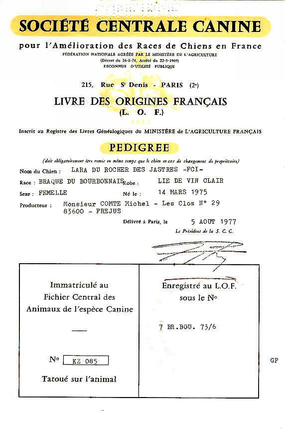 Pedigree de Lara du Rocher des LaraDuRocherDesJastres