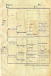 Pedigree of Boke and Junon de al Turne