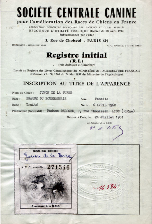 Certificat d'inscription au Registre Initial, Junon de la Turne